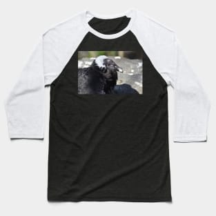 Condor Baseball T-Shirt